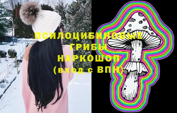 PSILOCYBIN Михайловск