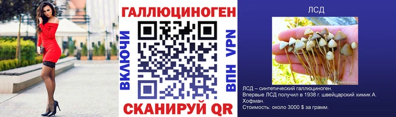Галлюциногенные грибы Cubensis  Рославль 